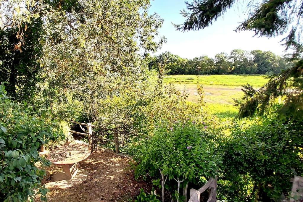 Le Bois Flotte - Maison Au Coeur De La Loire Entre Ville Et Nature Saumur Luaran gambar