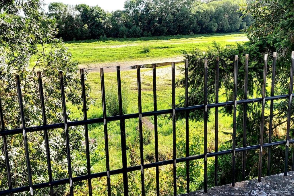 Le Bois Flotte - Maison Au Coeur De La Loire Entre Ville Et Nature Saumur Luaran gambar